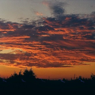 summer, it’s gone.