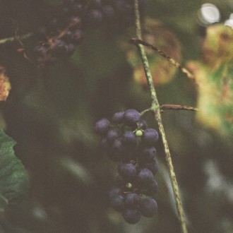 autumn is finally here.